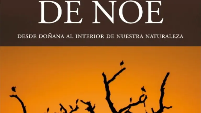 Screenshot_20250213_130637