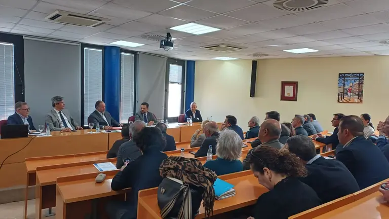 &Oacute;rgano de gobierno de la FOE