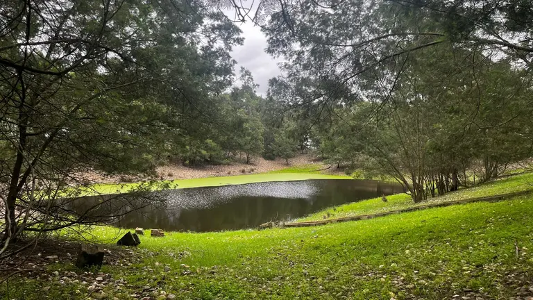 Una de las balsas de la finca Los Mimbrales (Almonte, Huelva). Oficina Técnica de Doñana