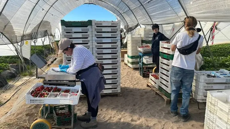 Trabajadoras del campo