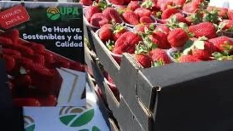 Caja de fresas de Huelva
