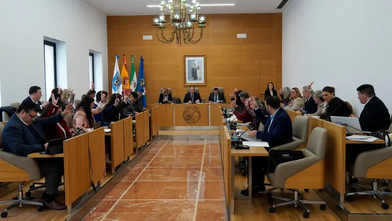 Votación en el Pleno de marzo