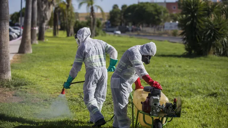 Fumigaciones contra la proliferación de mosquitos
