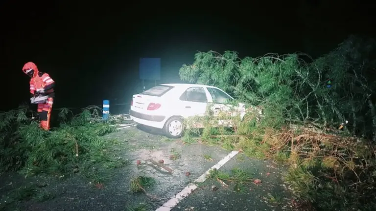 Caída de árboles y accidente en Jabugo (Foto: Consorcio Bomberos)