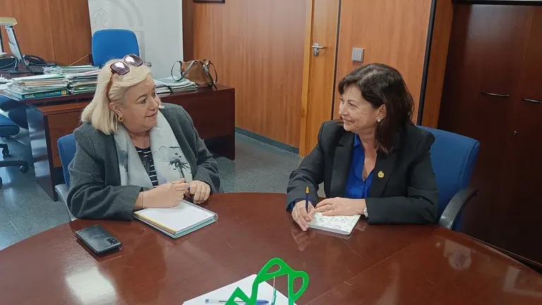 Reunión del Colegio de Médicos con la delegada salud