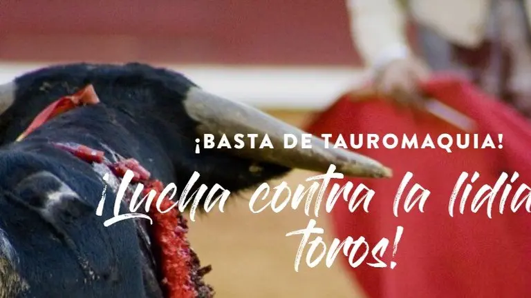 Web de la Fundación colaboradora de UNICEF