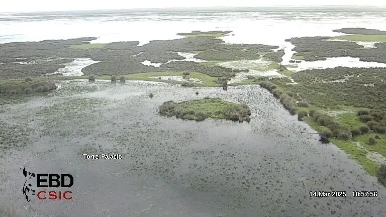 Marismas de Doñana anegadas estos días