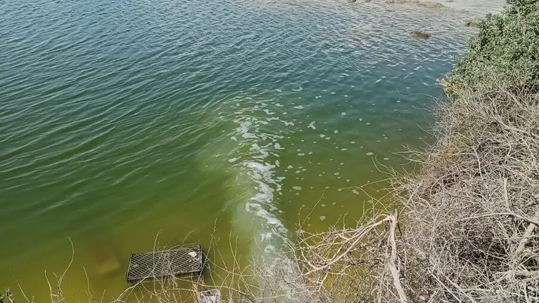 Vertidos al Estuario (Foto: Greenpeace)
