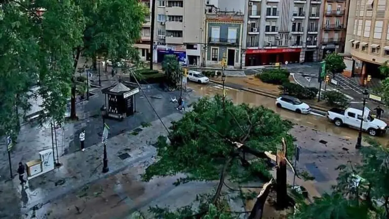 La Palmera, aun en pie, ante la desolaci&oacute;n causada por Bernard
