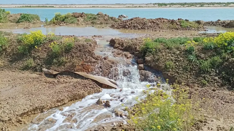 Vertidos fosfoyesos al estuario del Tinto junto a la ciudad de Huelva