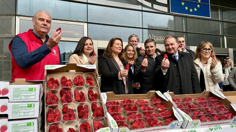 Uni&oacute;n para reforzar la imagen de la fresa de Huelva en Europa