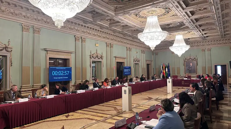 Sesi&oacute;n plenaria de marzo