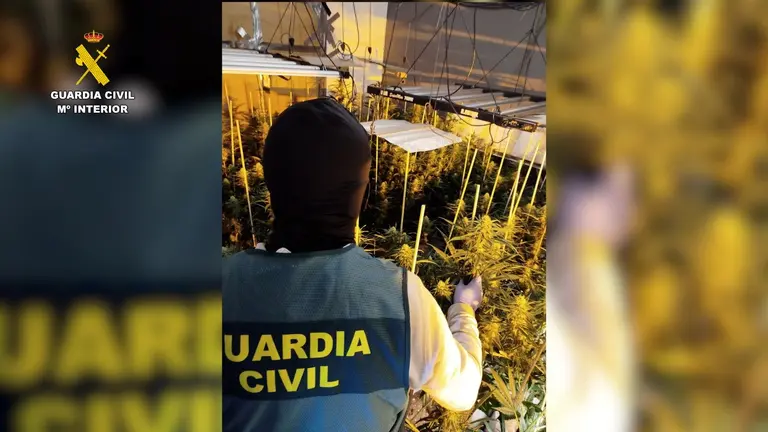 Una agente en la plantaci&oacute;n