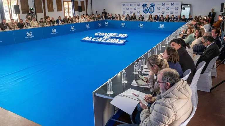 Presentación del Pueblo Saludable en el pleno del Consejo de Alcaldes