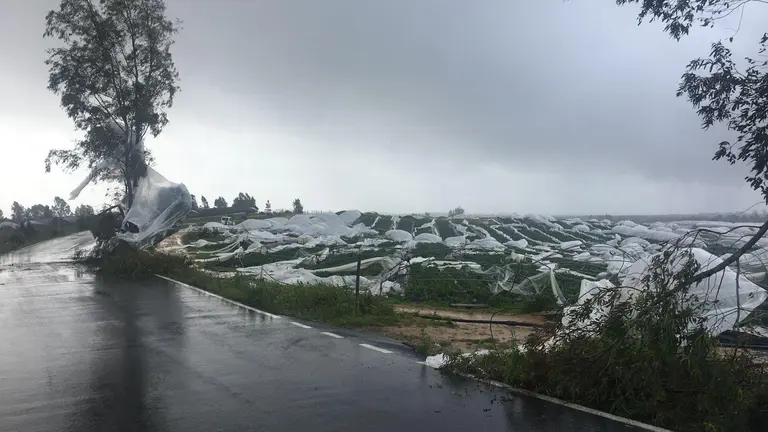Da&ntilde;os por el tornado en San Bartolom&eacute;. (Foto facilitada por el Ayuntamiento)