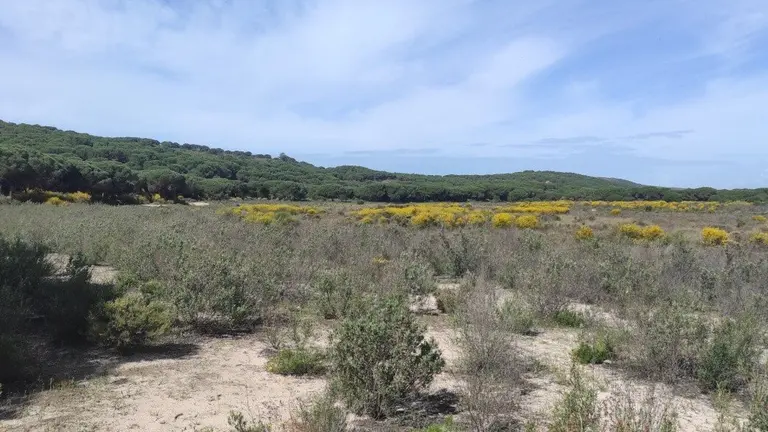 Laguna del Jaral, seca