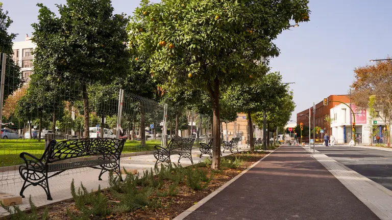 Carril bici por la calle Granada