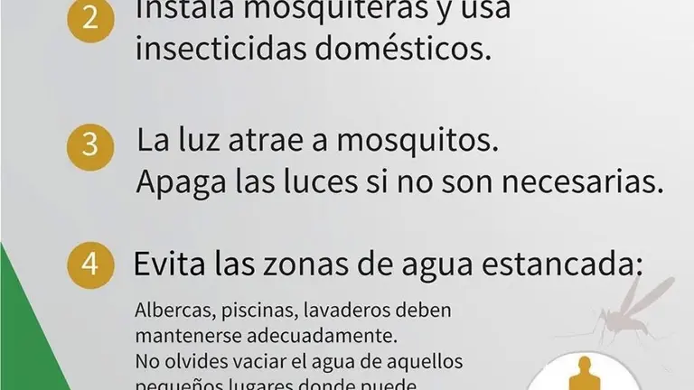 Recomendaciones de la Junta de Andalucía