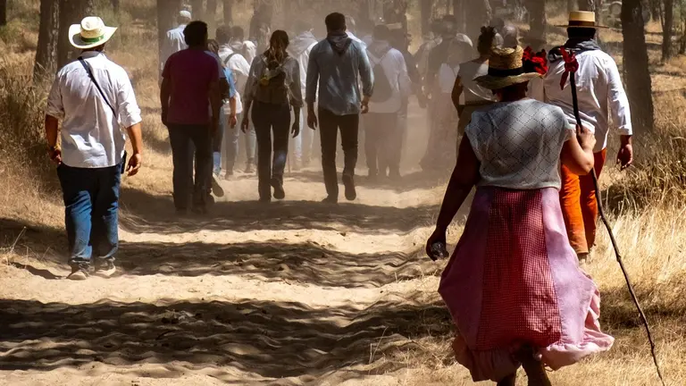 Imagen de los caminos del Roc&iacute;o / Fotograf&iacute;a: Diputaci&oacute;n Provincial de Huelva