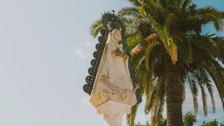 Replantaci&oacute;n de la palmera en el real de El Roc&iacute;o.