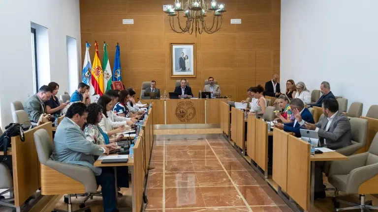 Pleno Diputación
