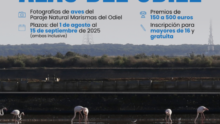 Concurso fotográfico Alas del Odiel.