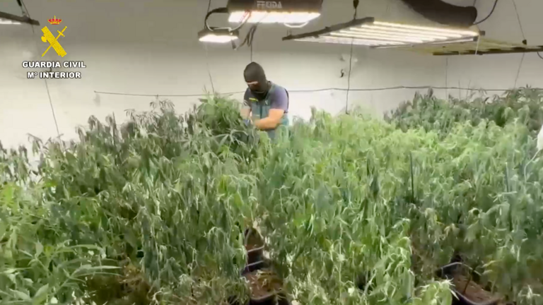 Operaci&oacute;n antidroga en Gibrale&oacute;n y Trigueros.