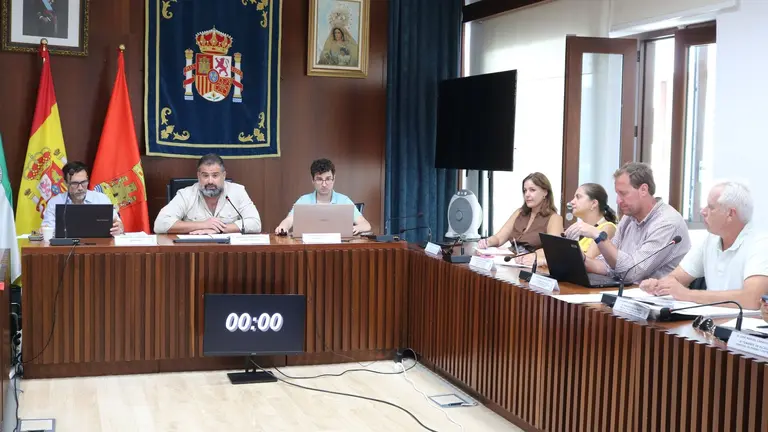 Pleno del Ayuntamiento de Cartaya.