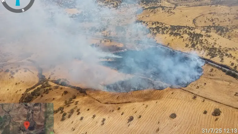 Incendio en el Paraje Puerto Rayo de El Cerro de And&eacute;valo. / Fotograf&iacute;a: Plan Infoca.