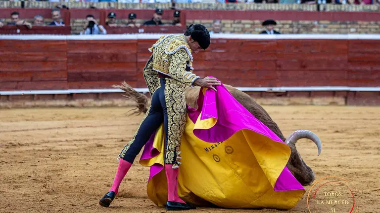 David de Miranda en el día de ayer / Fotografía: Toros La Merced.
