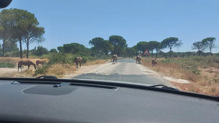 5a98bddd-a58c-4c11-a939-1f3929bb7b7a