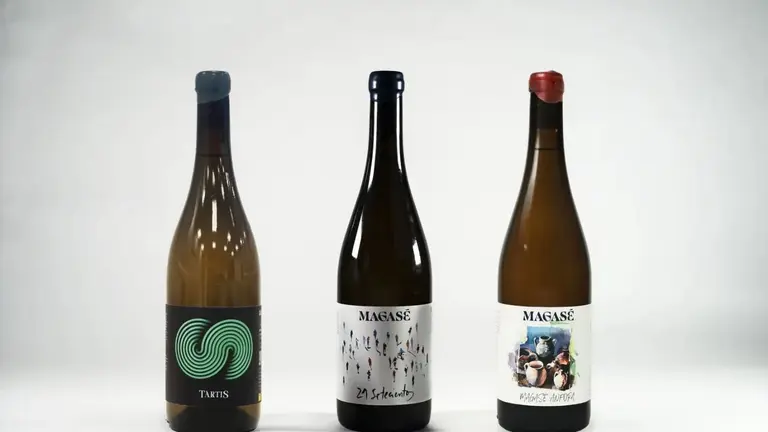 Los vinos palmerinos que han sido premiados / Fotograf&iacute;a: Ayuntamiento de La Palma del Condado.