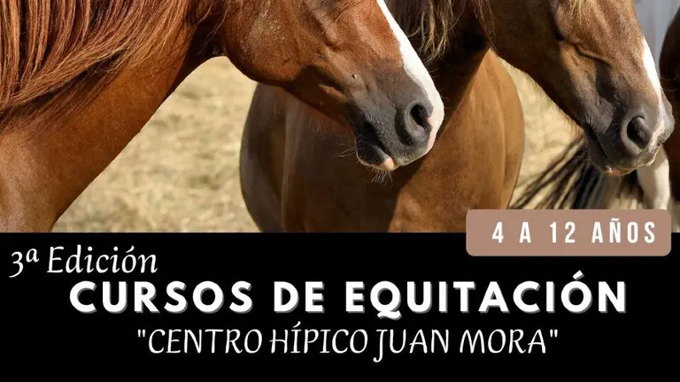 Cursos de equitaci&oacute;n en Beas para menores / Fotograf&iacute;a: Ayuntamiento de Beas.