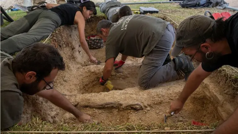 Exhumaciones en el Cementerio de la Soledad de Huelva / Fotografía: Junta de Andalucía.