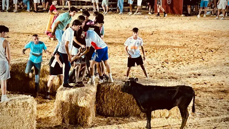 Fiestas Taurinas Tradicionales de Trigueros 2025 / Fotograf&iacute;as: Ayuntamiento de Trigueros