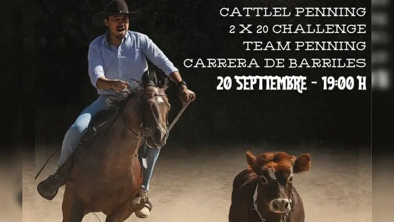 Cartel del Western Show en Aroche.