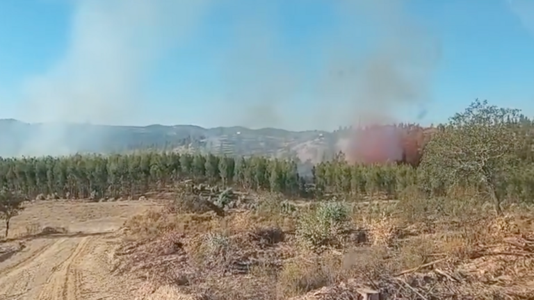 Incendio en Zalamea La Real.