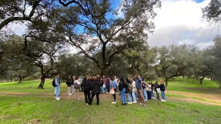 C&aacute;tedra de la Provincia.