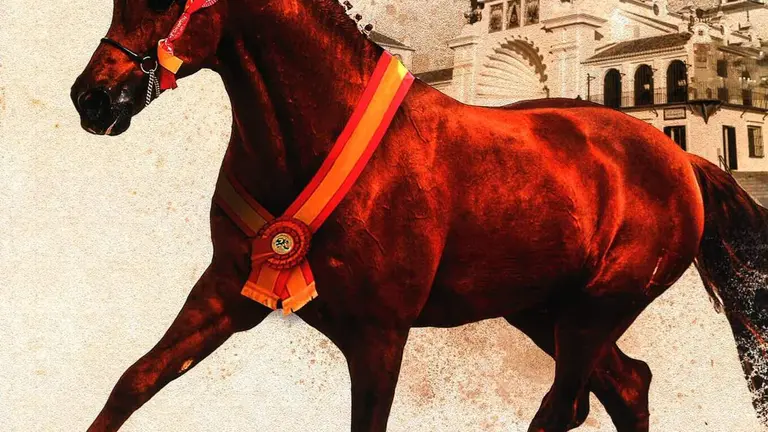 Jornadas Hispano-&Aacute;rabes.