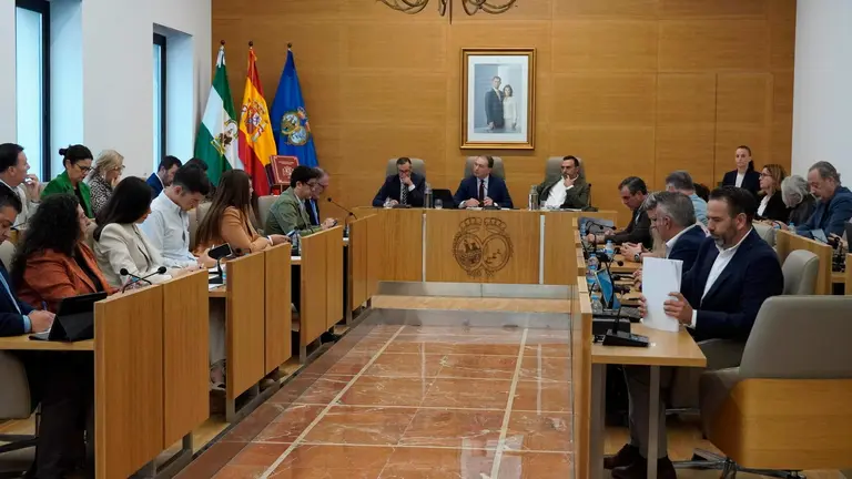 Pleno de la Diputaci&oacute;n.