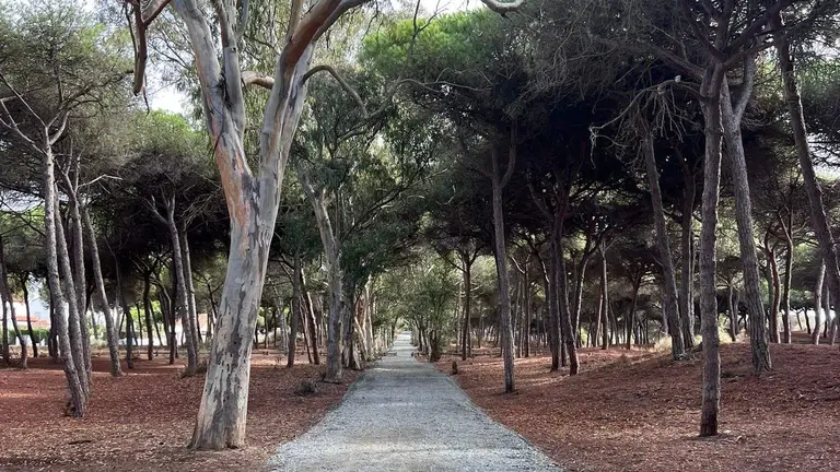 Camino La Redondela