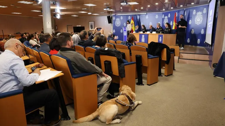 797433fb-a2c4-476a-a02f-d696dbd089a7