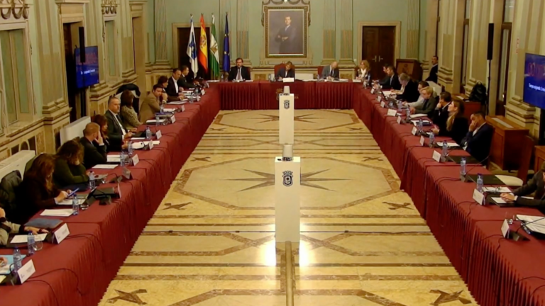 Imagen del pleno de ayer.