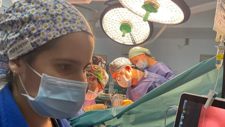 Donaci&oacute;n de &oacute;rganos.