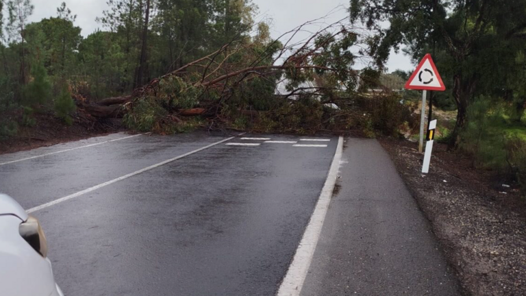 Estas son las carreteras afectadas en Huelva tras el paso de las borrascas Joseph y Kristin