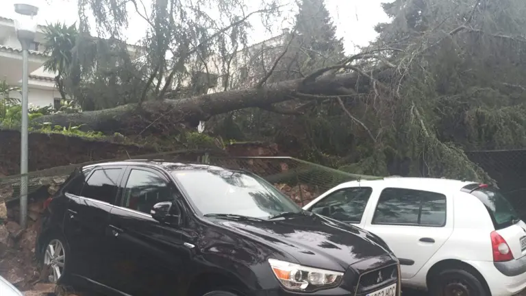 797c839e-2461-4561-8e46-279c2f9715f0