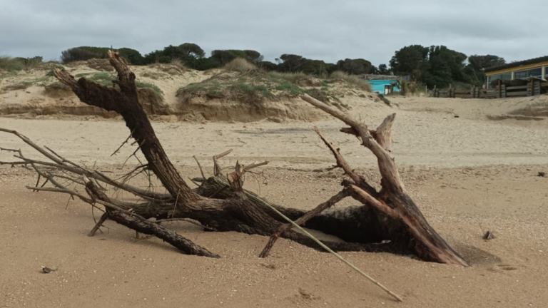 Playas de Punta Umbr&iacute;a.
