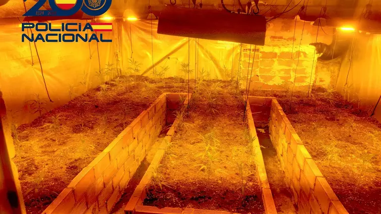 fd1a0d68-f88d-4bfc-b599-623991a2de1d