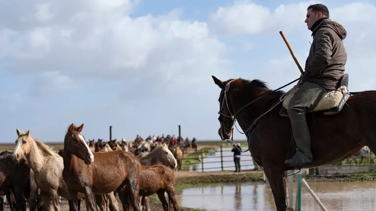 Ganaderos en Do&ntilde;ana