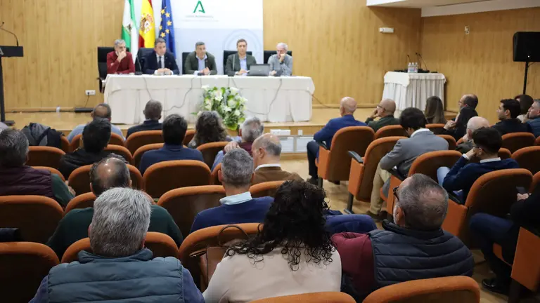 Ayudas de la Junta a los municipios